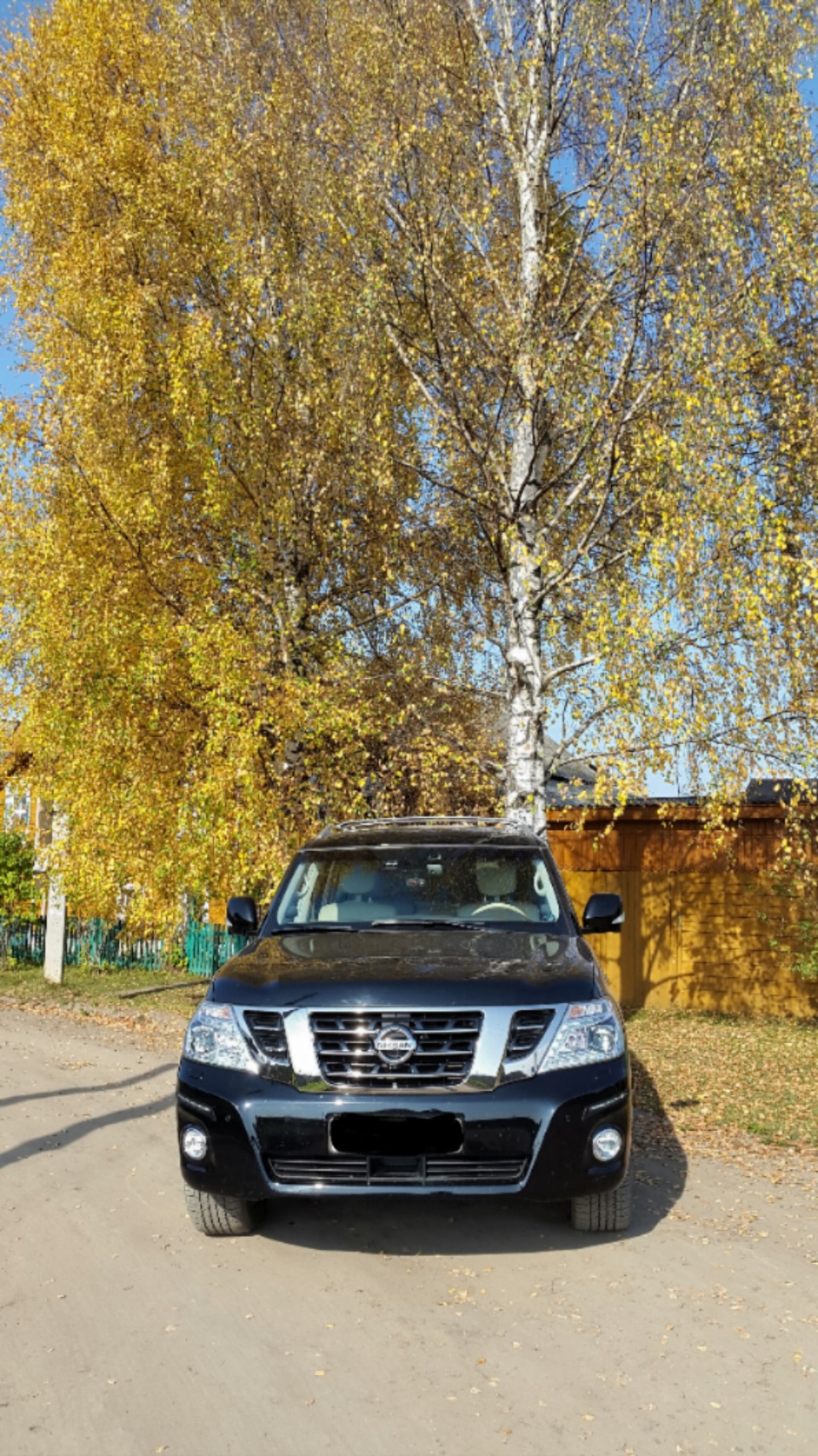 Такая корова нужна самому — Nissan Patrol (Y62), 5,6 л, 2011 года | просто  так | DRIVE2