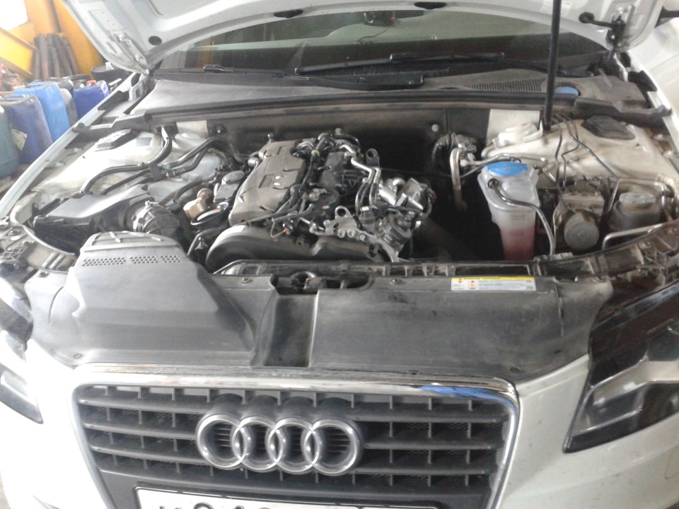 Первое самостоятельное ТО. — Audi A4 (B8), 2 л, 2011 года | плановое ТО ...