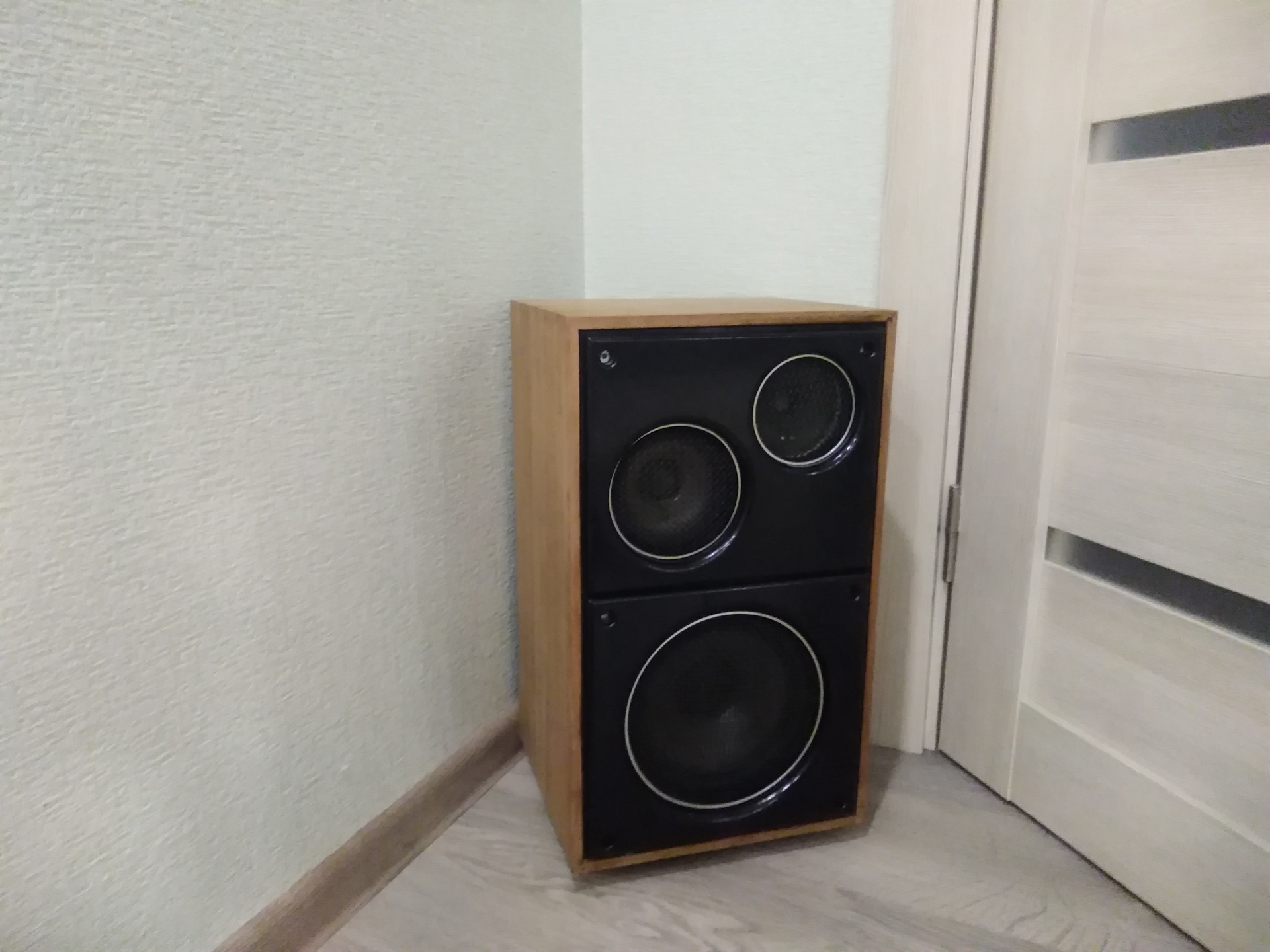 колонки электроника д1 012