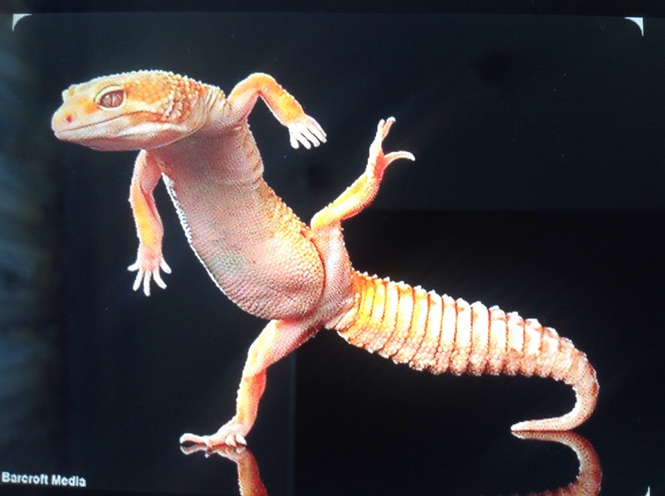 ⚠ ☞ Потеря емкости ввб — Honda Civic 4D (8G), 1,3 л, 2006 года ...