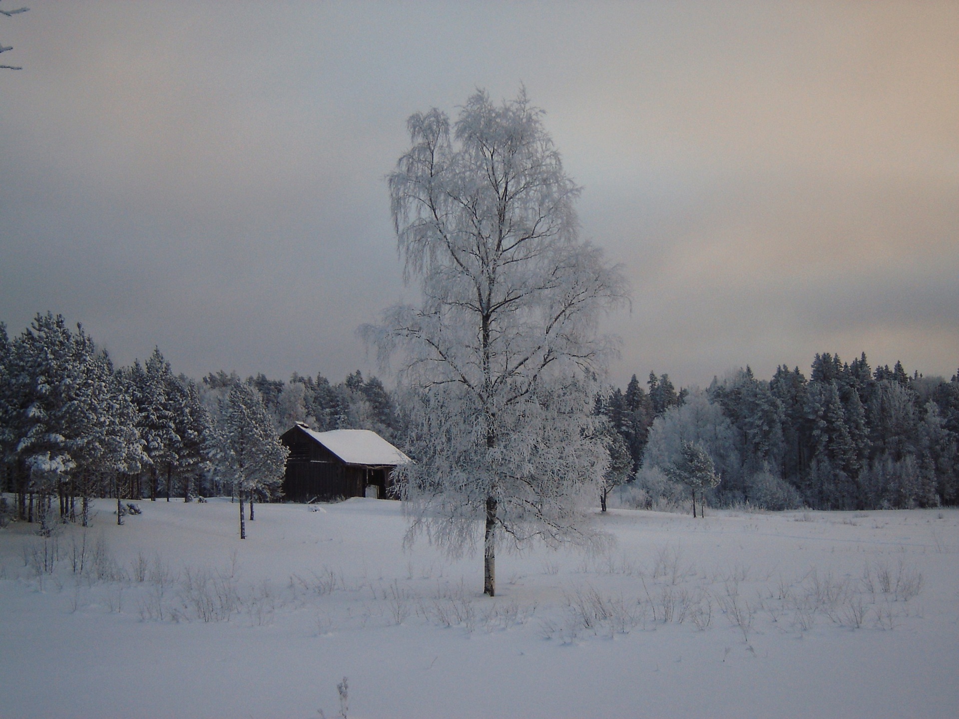 Валаам весной фото