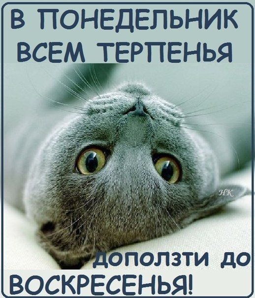 Открытка не хочу на работу в понедельник