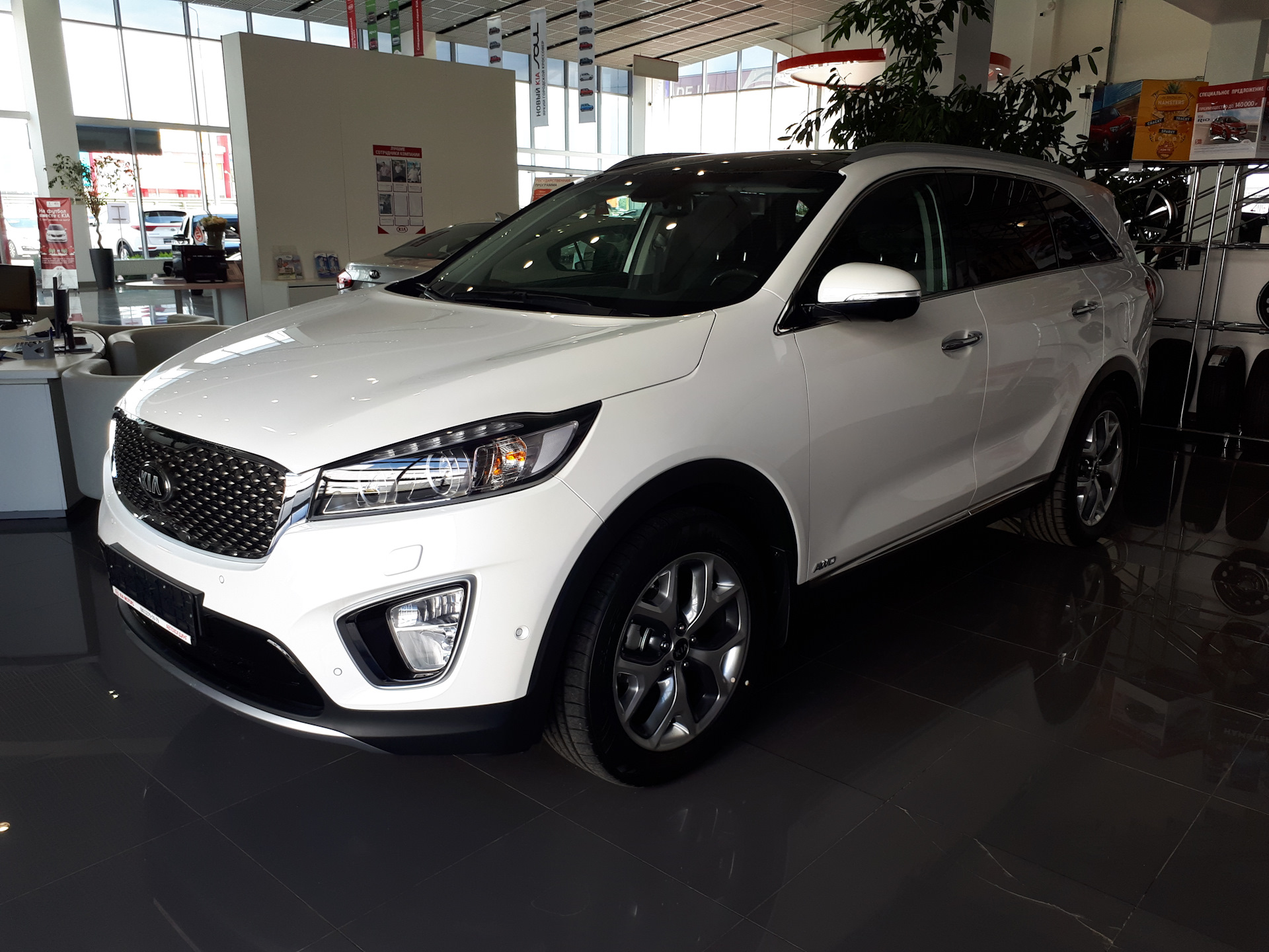 Prime white. Kia Sorento Prime 2012. Kia Sorento Prime White. Киа Соренто Прайм белый перламутр. Киа Соренто Prime белый.