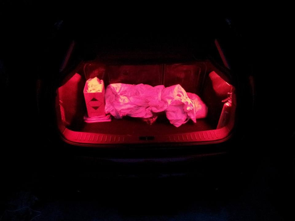 Подсветка багажника форд. Подсветка багажника фокус 2 хэтчбек. Подсветка багажника Форд фокус 1. Подсветка в багажнике Форд фокус 2 Рестайлинг. Освещение багажника Форд фокус 2 хэтчбек.