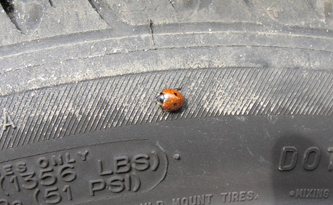 Фото в бортжурнале Honda Civic Hatchback (8G)