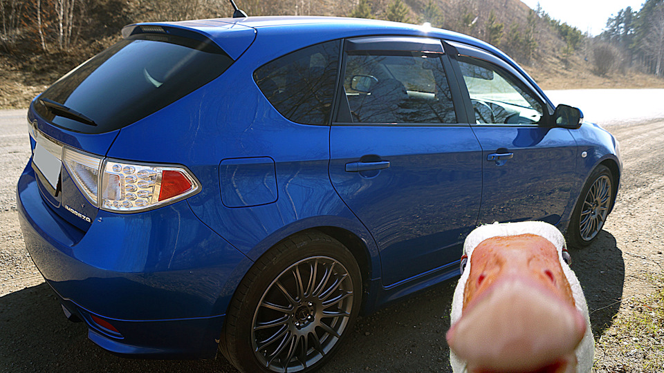 Viatti BRINA V-521 отзыв — Subaru Impreza (GE/GH), 1,5 л, 2010 года ...