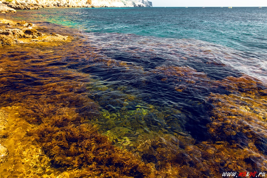 The surroundings of Sevastopol or where we rest