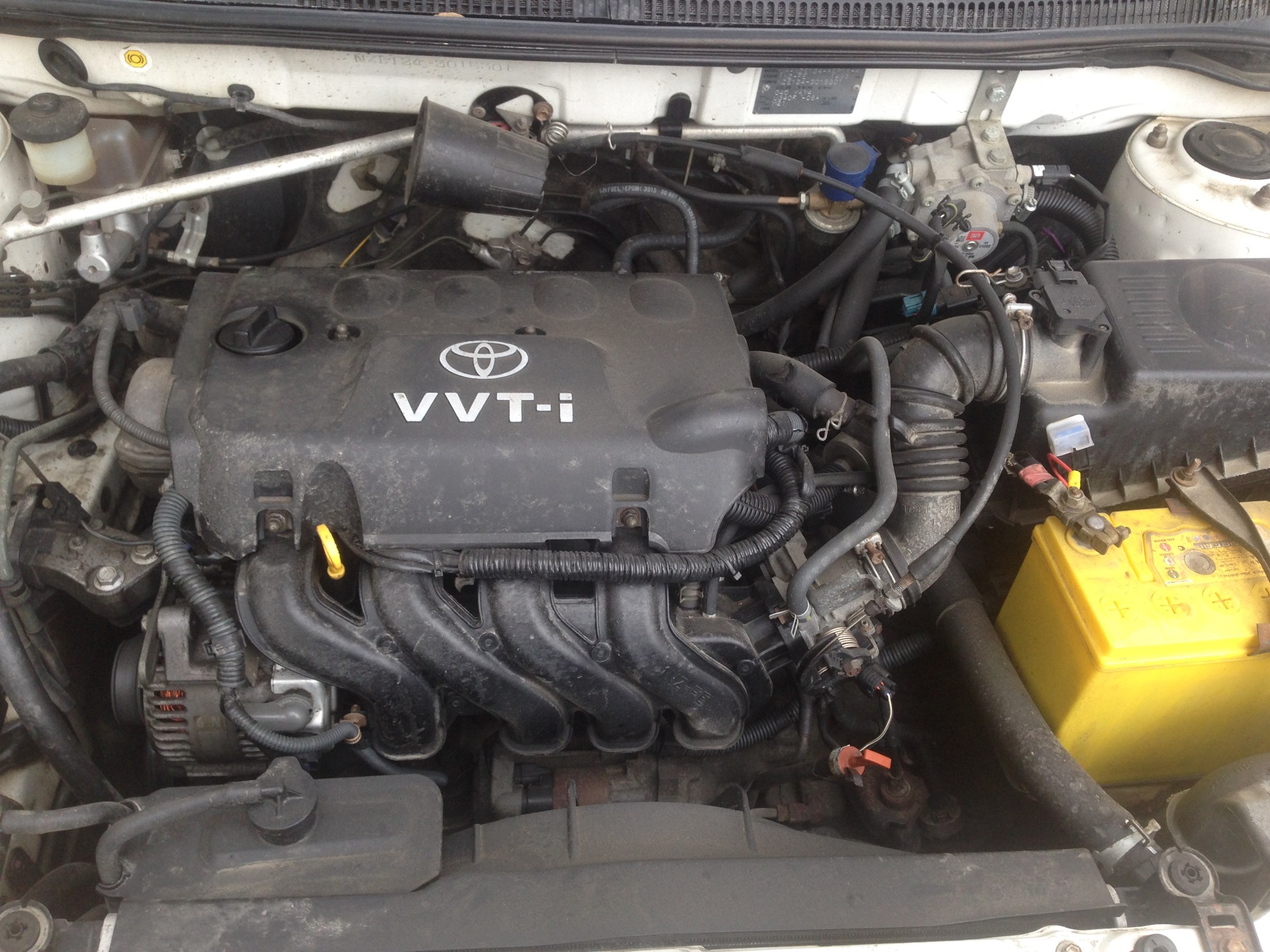 Установка Газового Оборудования на Тойоту Короллу 2008 года - Toyota Corolla (14