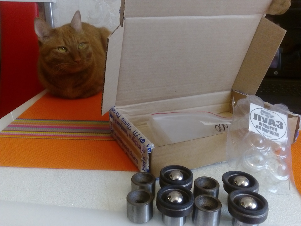 Установка шкворней на шарах — ЛуАЗ 969, 1 л., 2017 года | тюнинг | DRIVE2