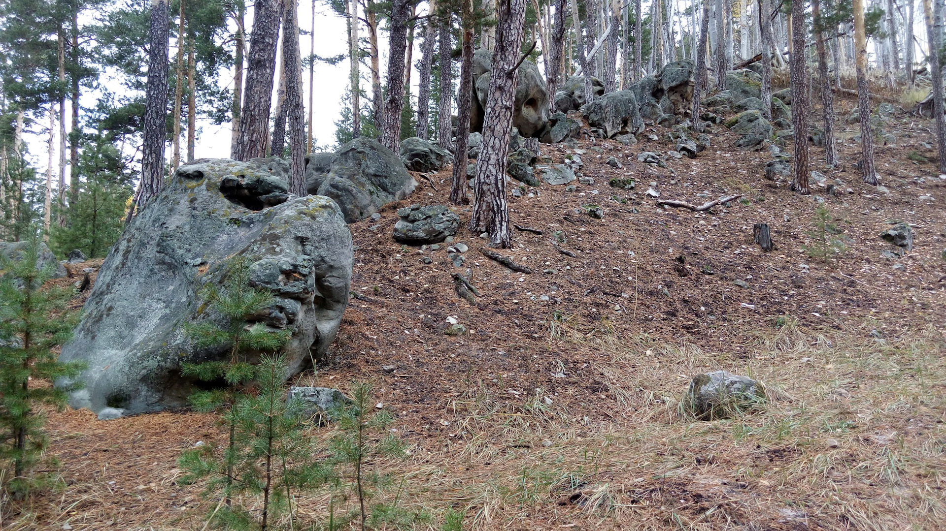 Смолькино Самарская область каменный лес