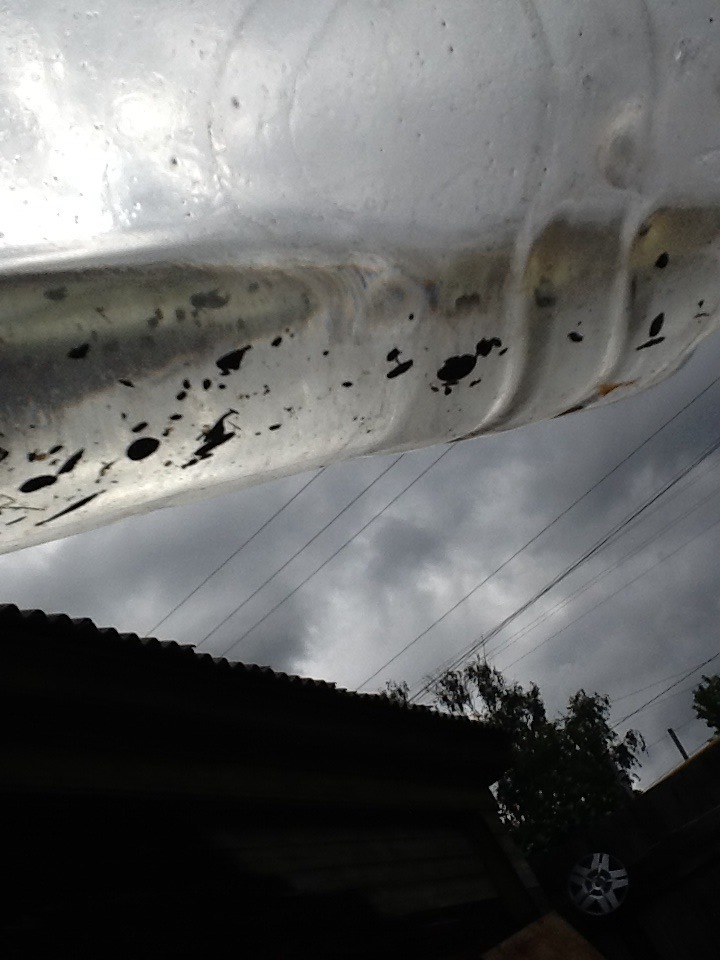 Откуда может взяться грязь в бензобаке? — Lada 21093, 1,6 л, 1990 года ...