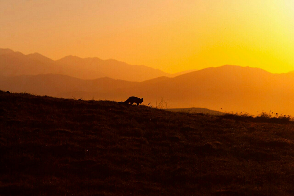 Путешествие по Армении на нива 2121 — DRIVE2