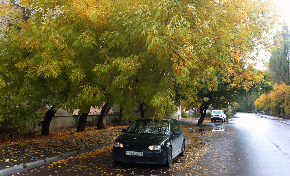 Фото в бортжурнале Volkswagen Golf R Mk4