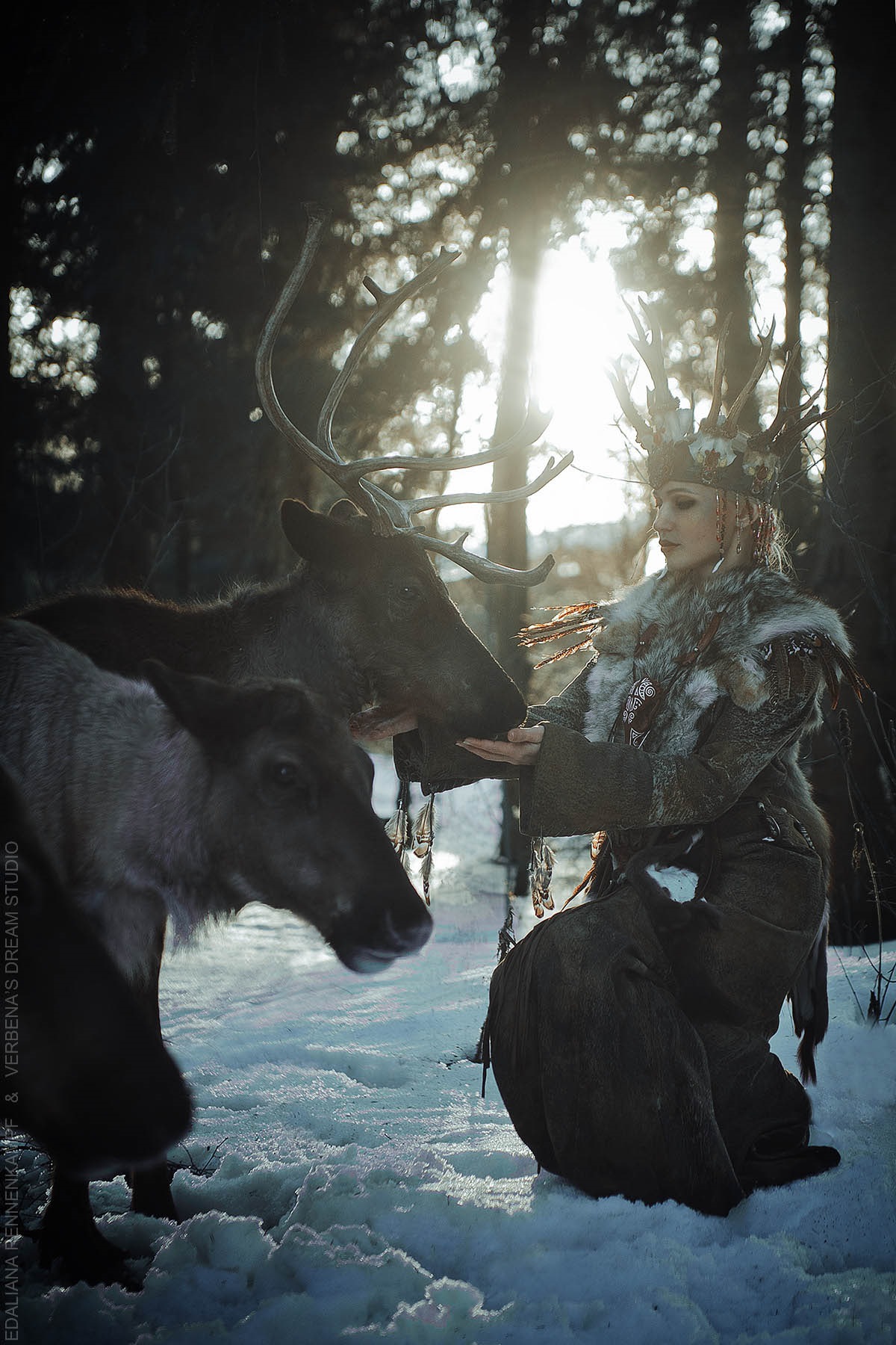 Северная королева. Королева севера фильм. Королева севера фотосессия. Хозяйка леса фильм. Северная Королева Королева.