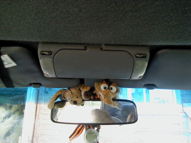 мои неизменные попутчики и клубная медалька от Лукомора — Toyota Carina (7G)