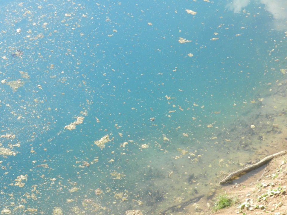 Голубое озеро покачи