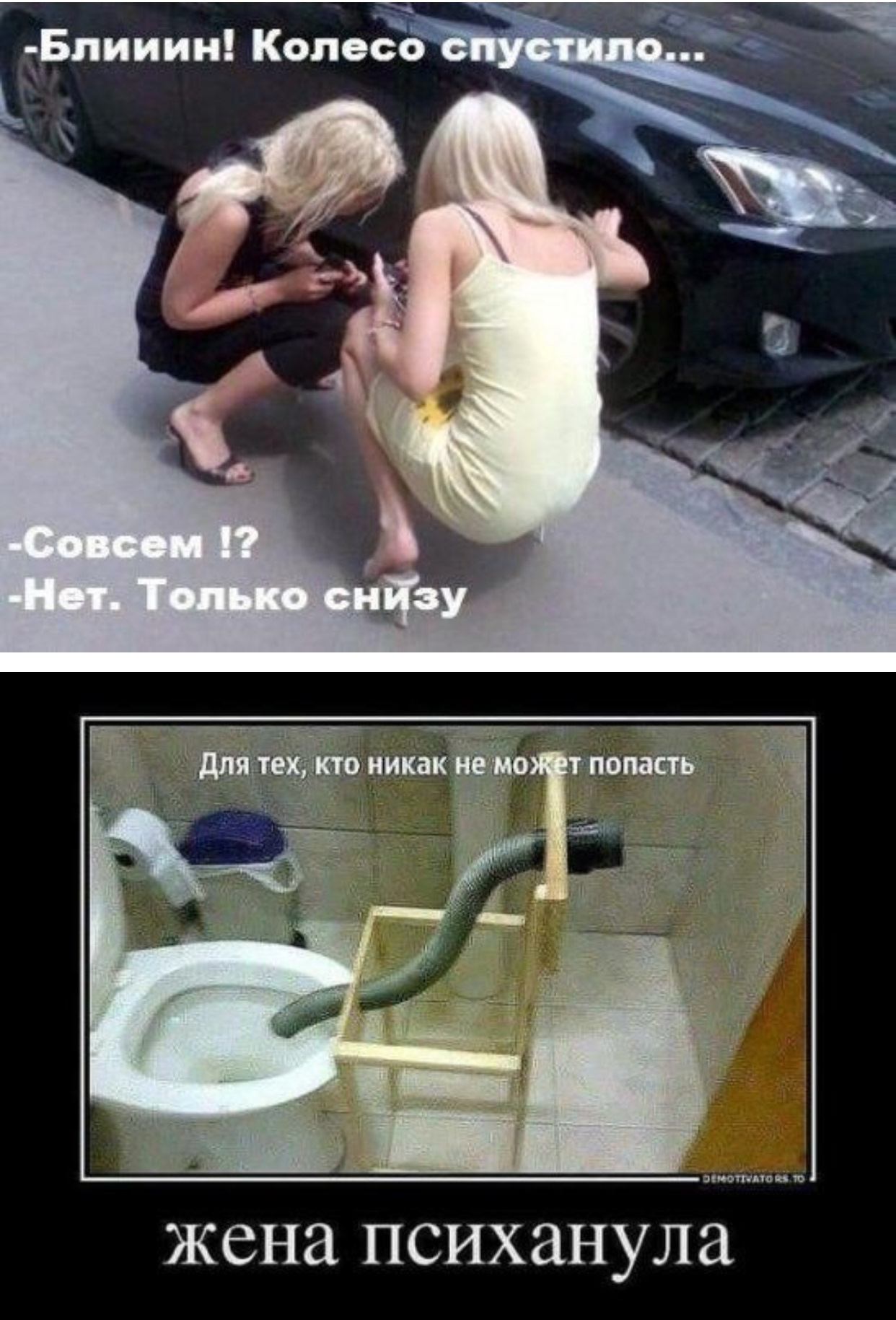 Профилиб нет