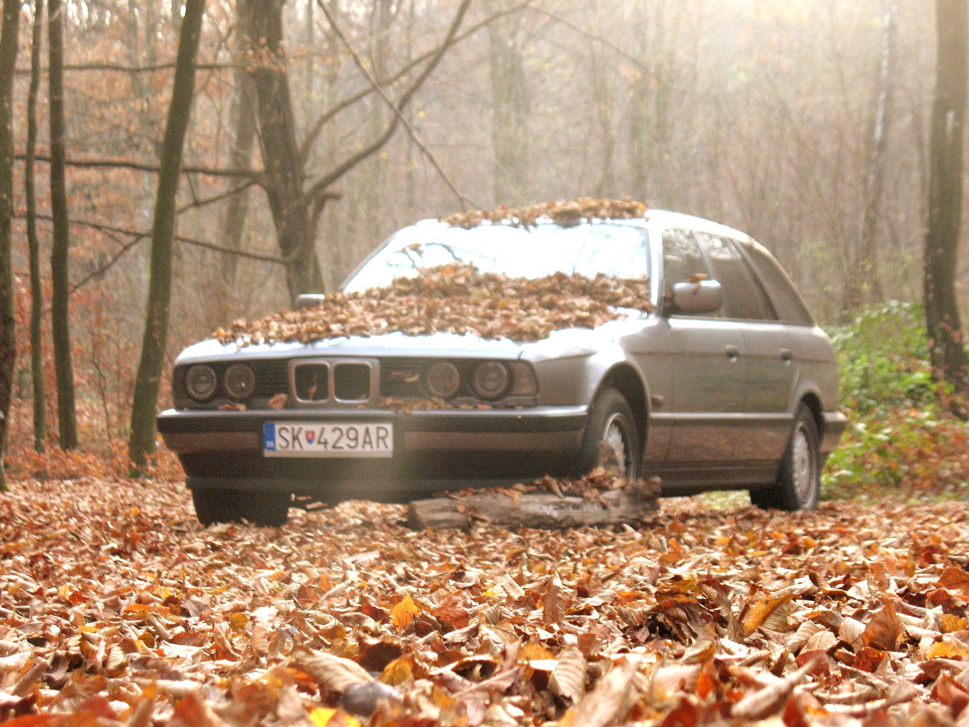 BMW e34 брошенный