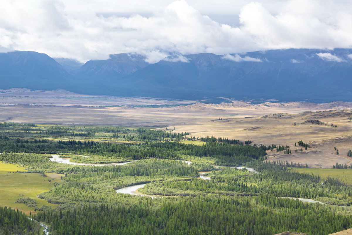 турбаза чуя горный алтай. петербург алтай. екатеринбург алтай на машине. петербург алтай. путь от питера до алтая.