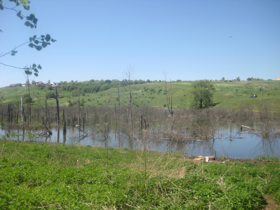 Село толмачево новосибирск фото