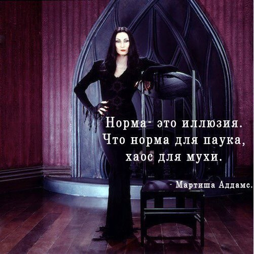 99b68c9s 960 Что хаус для мухи норма для паука