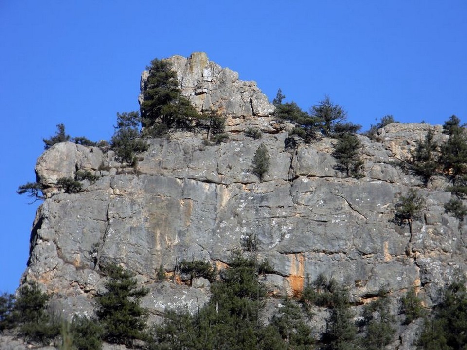 Фото в бортжурнале Volkswagen Polo Sedan