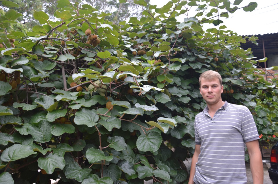 Киви — УАЗ Patriot