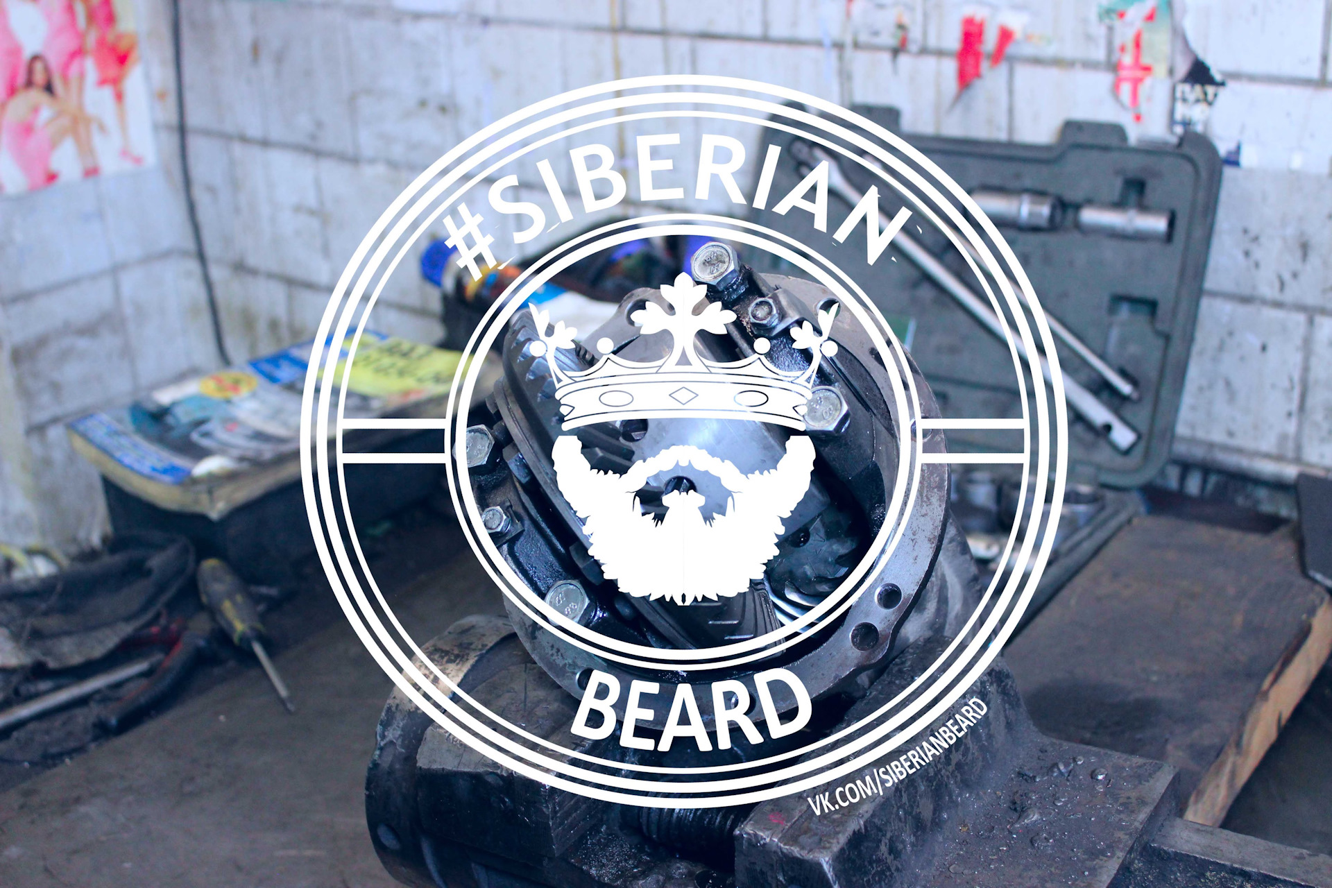 Siberian beard. Сибериан Берд. Наклейка Siberian Beard. Диски сибирской бороды. Сибирь борода.