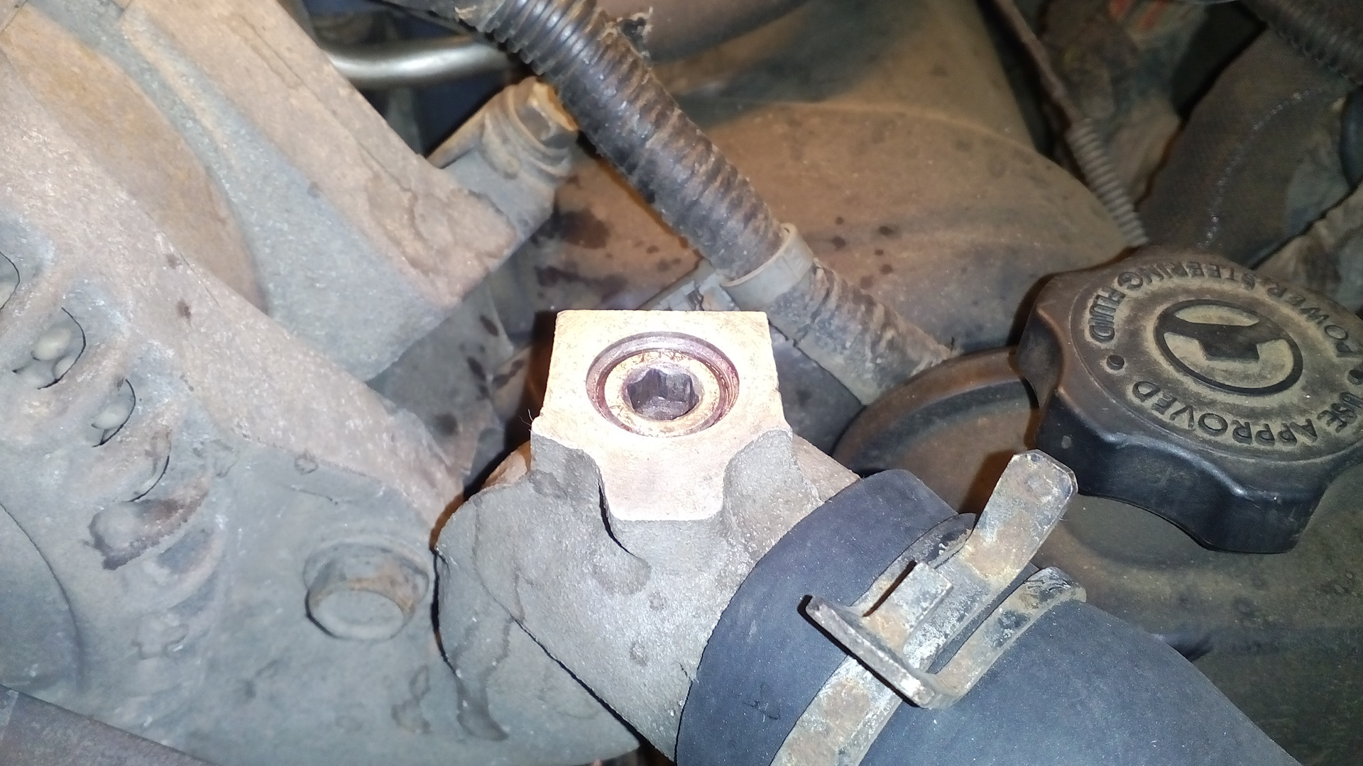 Болт спуска воздуха с радиатора бмв е39. Болт для стравливания воздуха ауди q7. Болт спуска воздуха. Bmw винт для стравливания воздуха латунный. Винт для радиатора бмв е39.