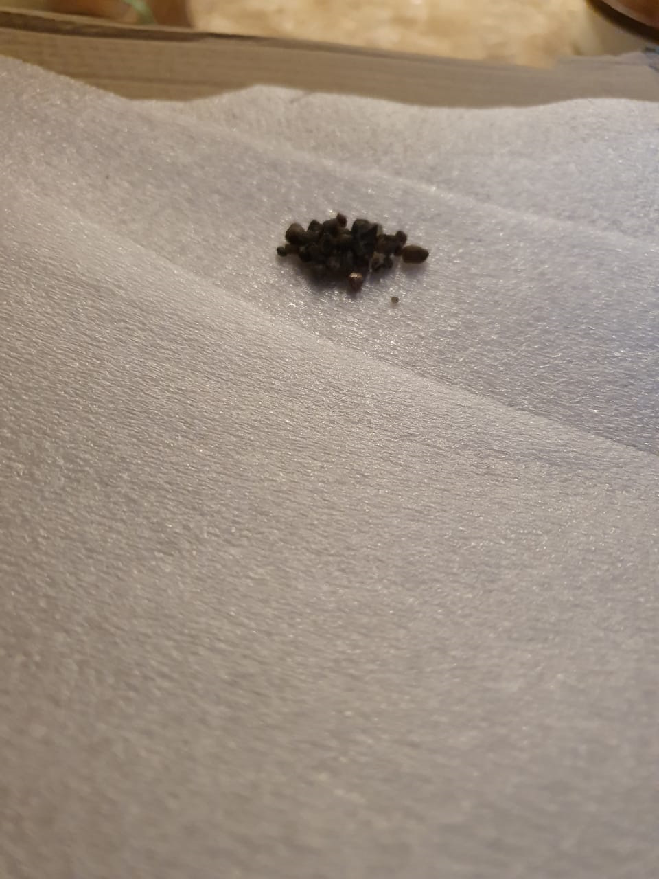 сколько тут грамм? — Renault Kaptur (2016)