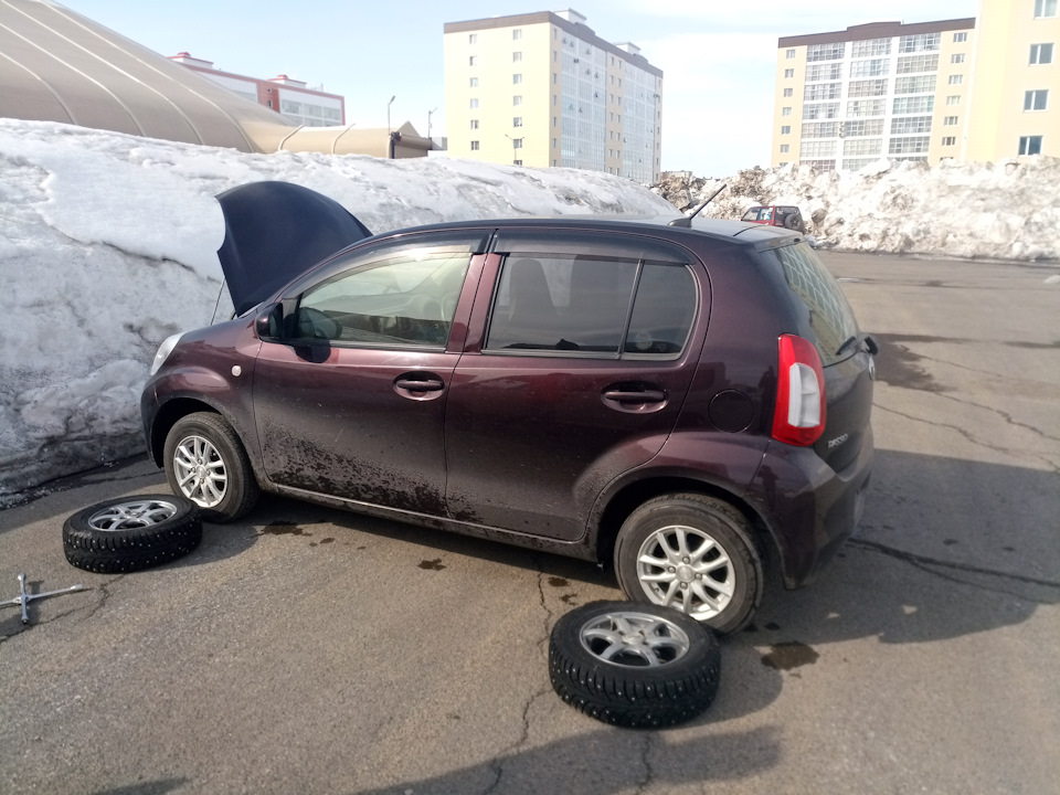 Тойота пассо отзывы владельцев минусы недостатки