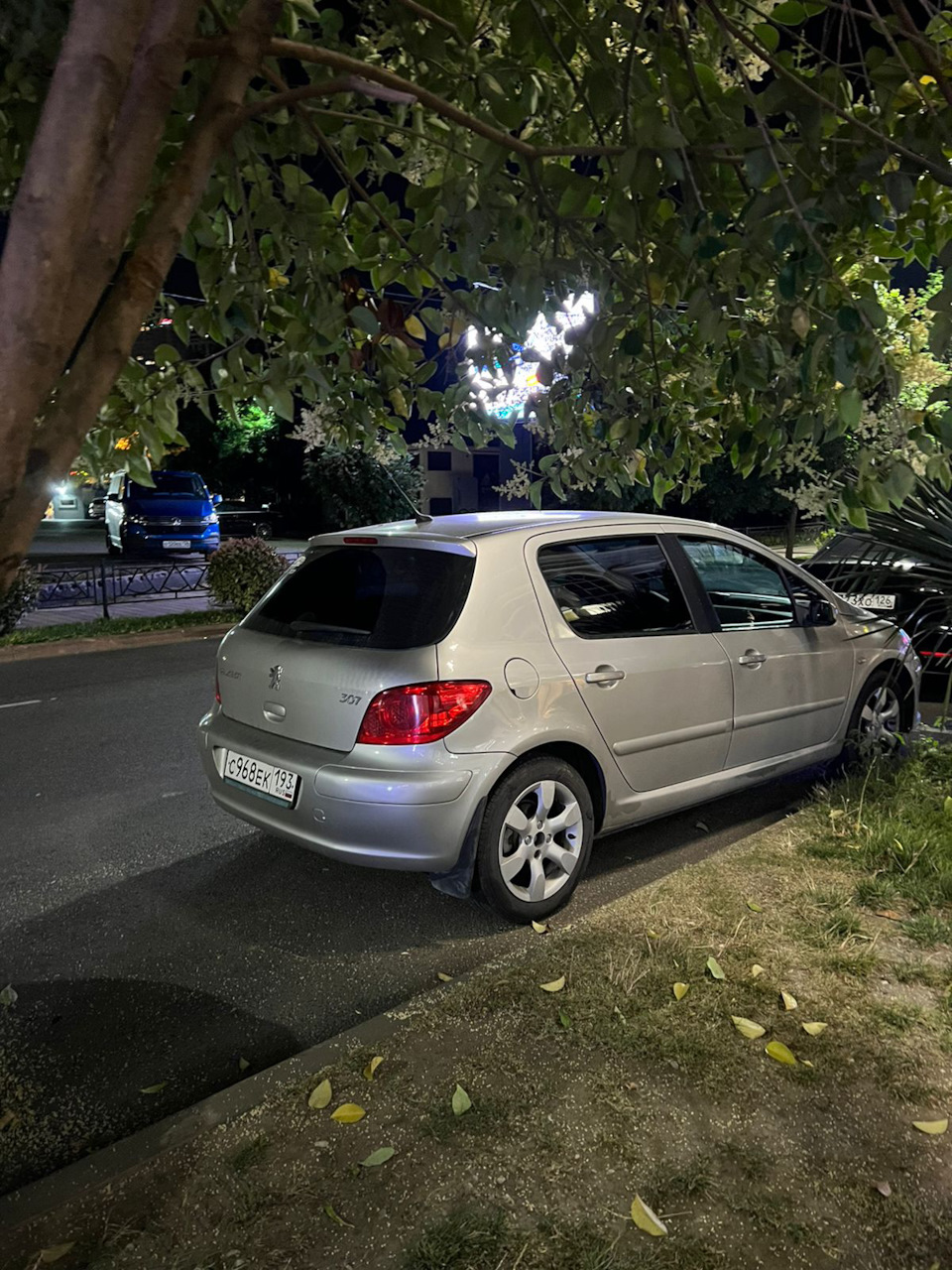 Нужна помощь зала🙏 — Peugeot 307, 1,6 л, 2006 года | другое | DRIVE2