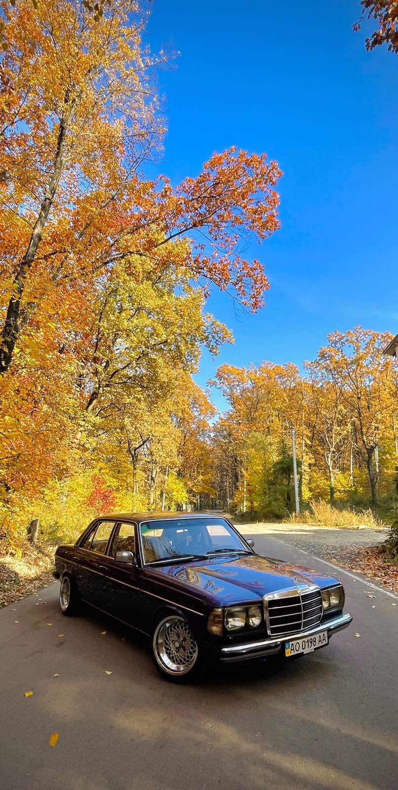 Золотая осень. — Mercedes-Benz W123, 2,3 л, 1979 года | покатушки | DRIVE2