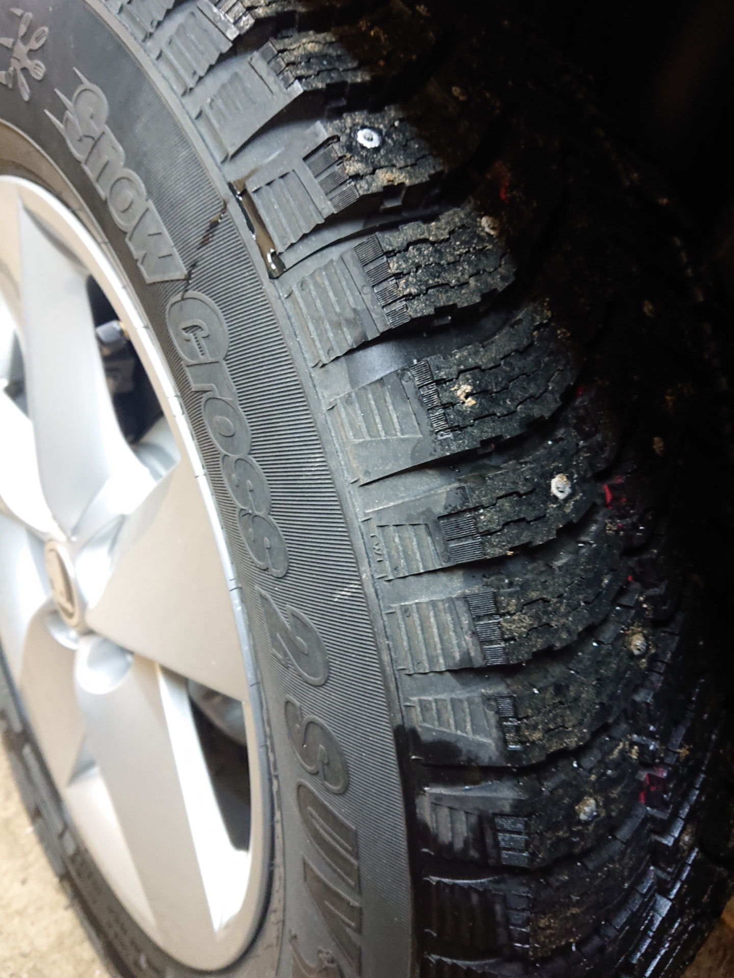 Зимняя резина кордиант. — Skoda Kodiaq, 1,4 л, 2020 года | шины | DRIVE2