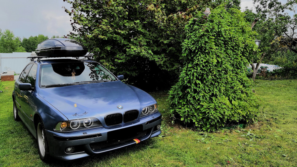 Bmw 5 Series Eva Von Nordheim Drive2