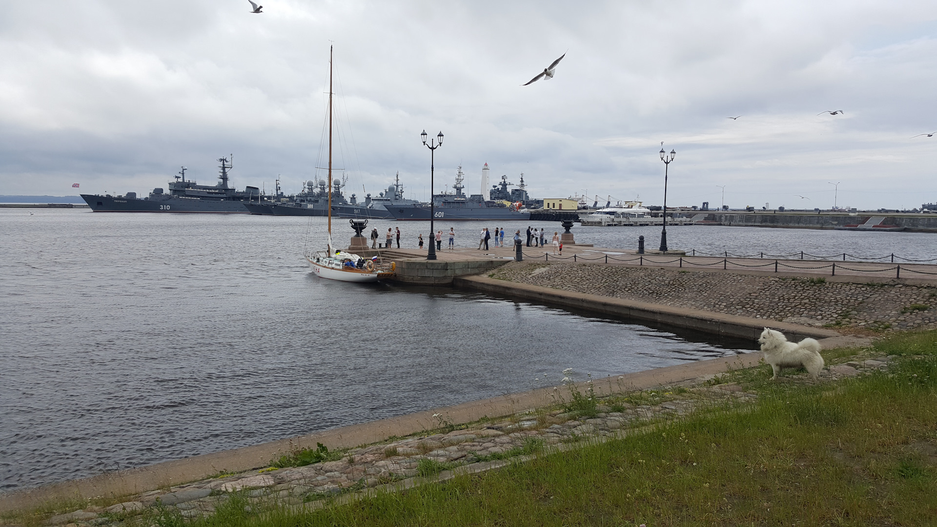 Рп кронштадт. Петровская гавань Кронштадт. Средняя гавань в Кронштадте. Петровская Пристань в Кронштадте. Петровский парк Кронштадт набережная.