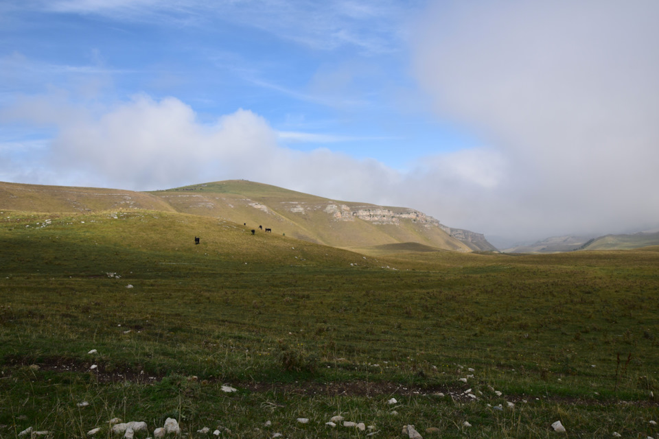 Фото в бортжурнале Renault Duster (1G)