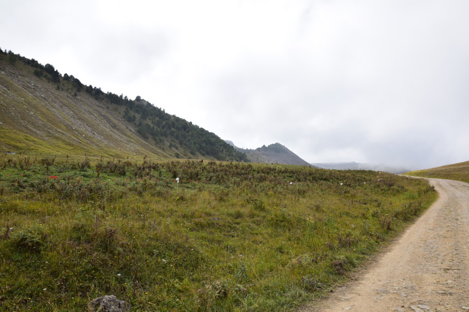 Фото в бортжурнале Renault Duster (1G)