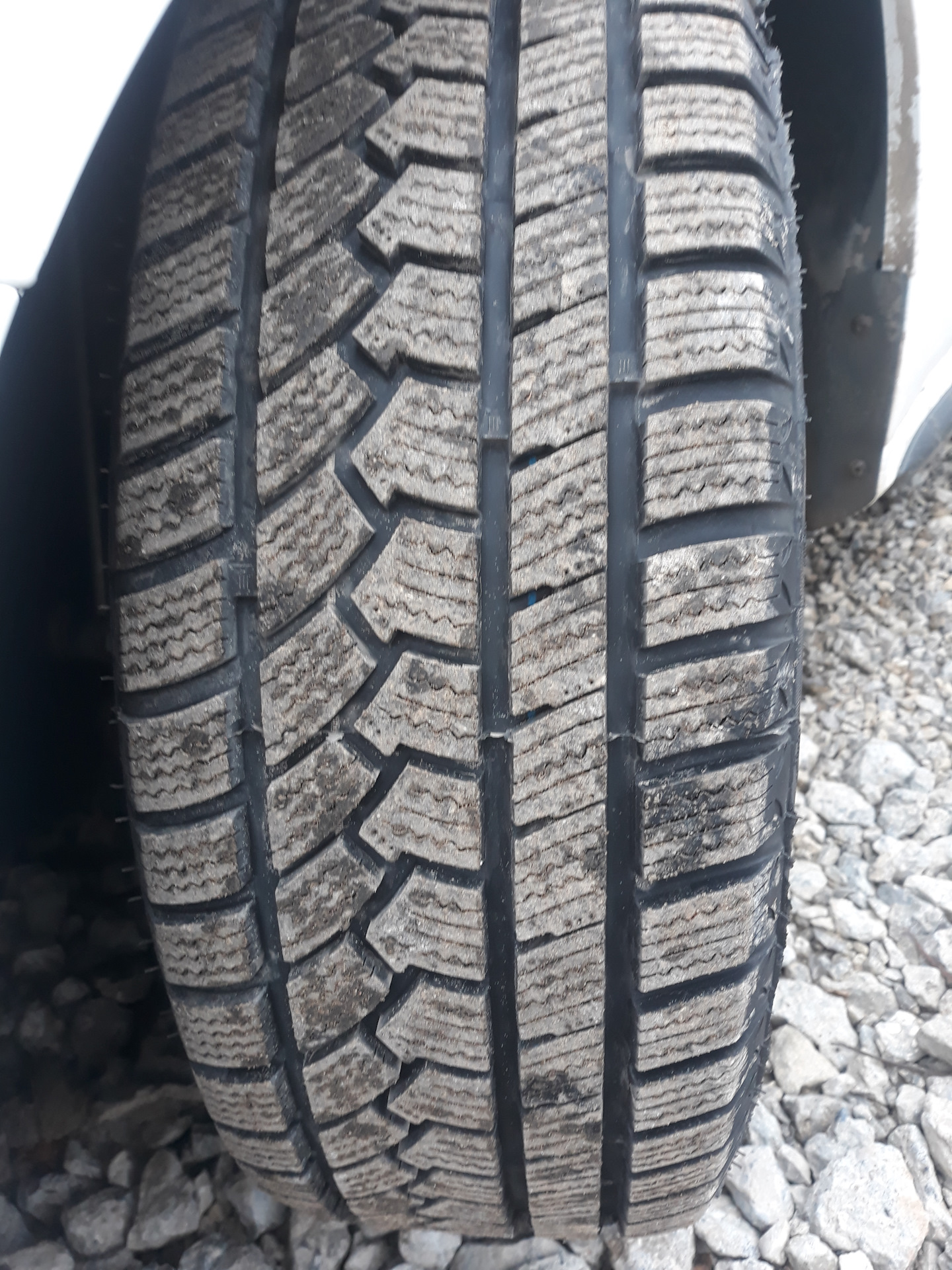 Резина ovation w586. Ovation 586 шины. W586 ovation зимние шины. Шины ovation w 586. W586 ovation зимние шины.