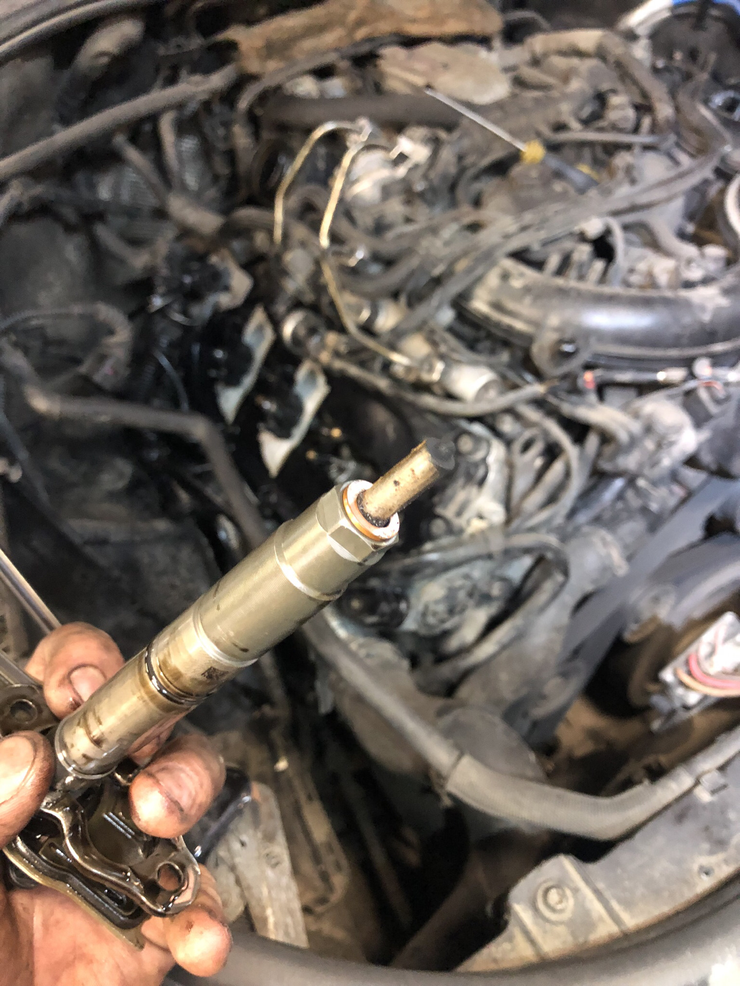 Не большая профилактика и ТО — Volkswagen Touareg (1G), 3 л, 2007 года ...