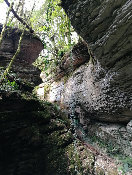 9EAAAgJSeOA 960 Мамонтово ущелье адлер как добраться самостоятельно