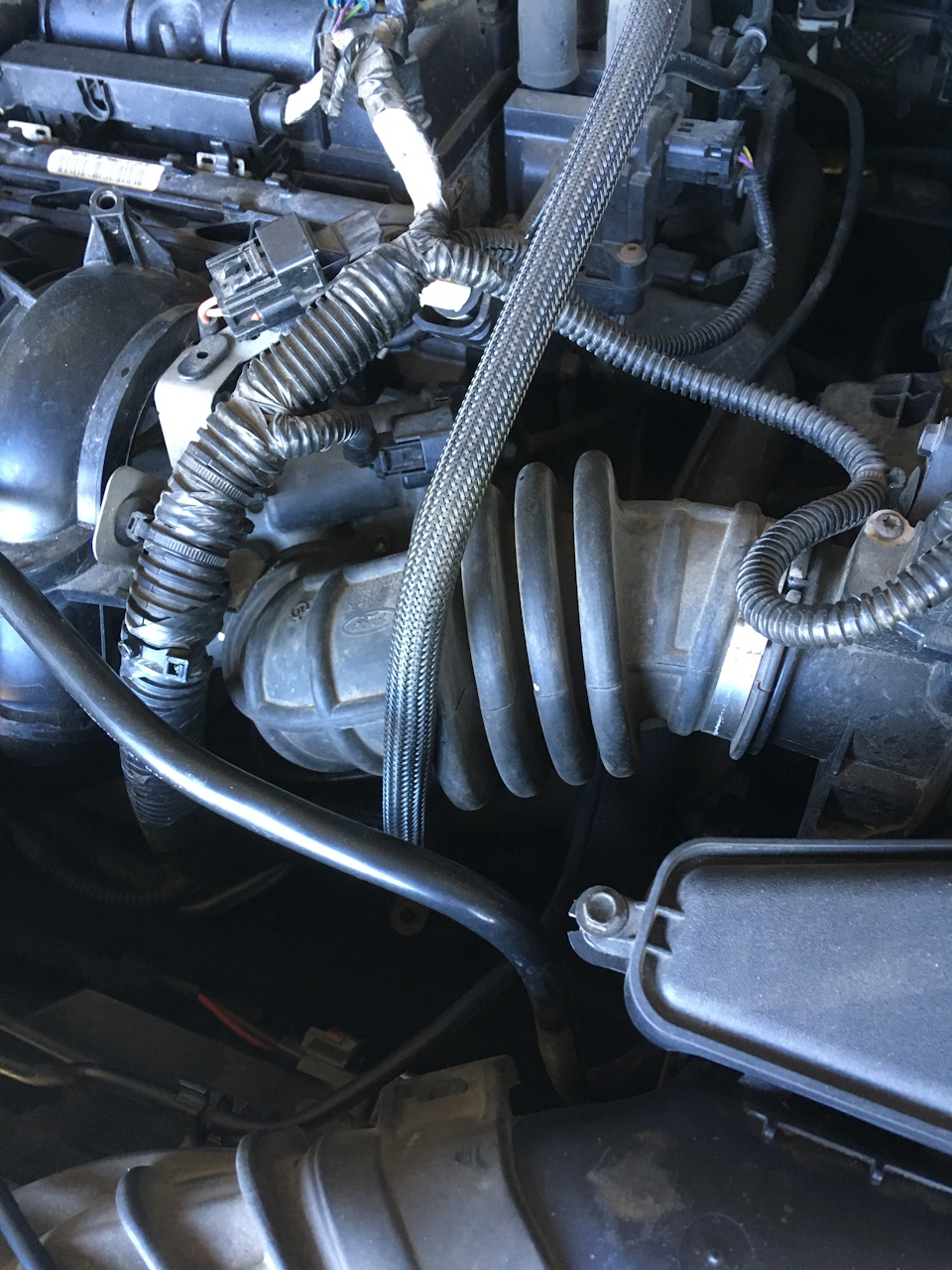 Болячки Форд Фокус — Сообщество «Ford Focus Club» на DRIVE2