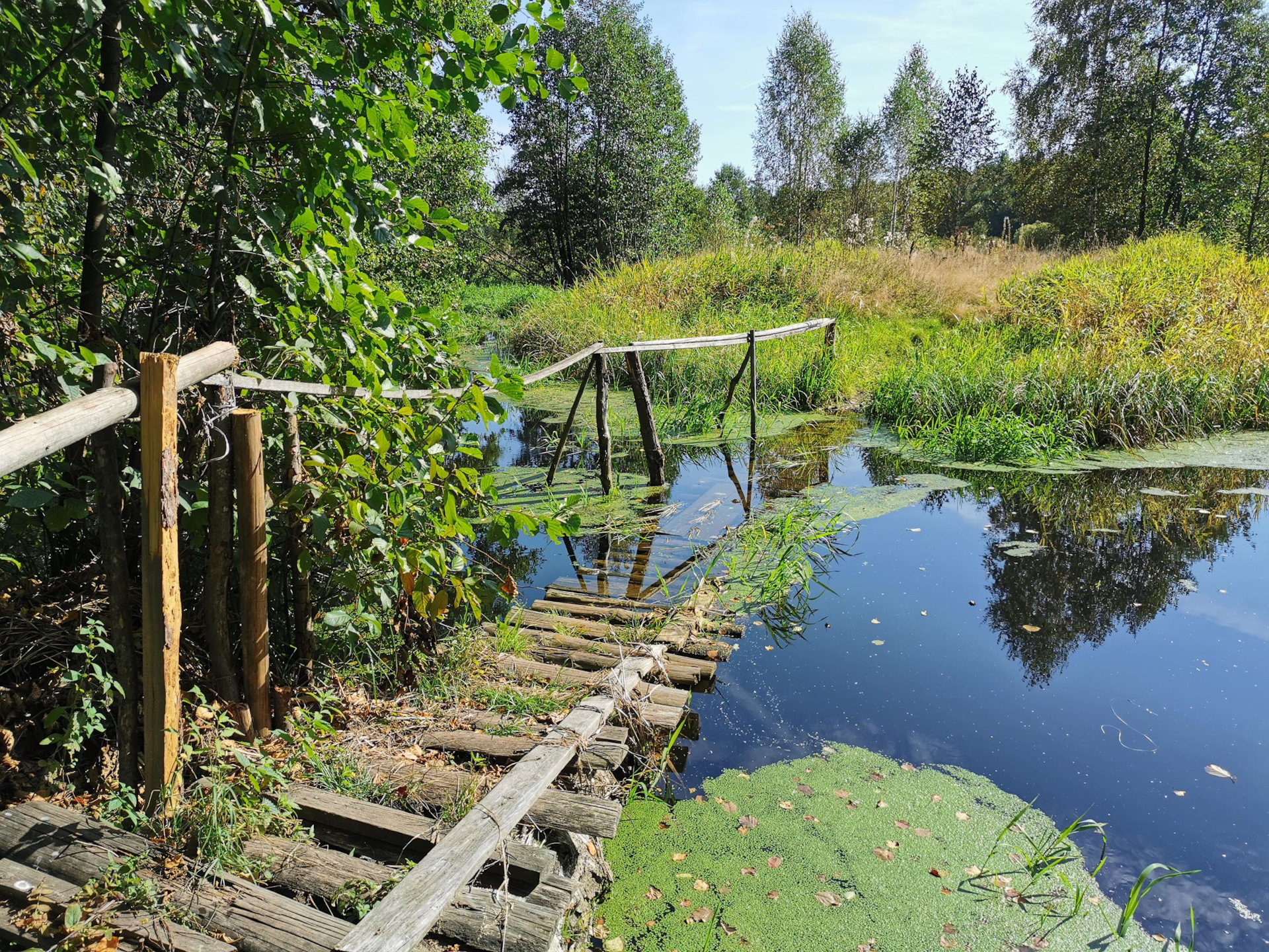 Фото парк в деревне