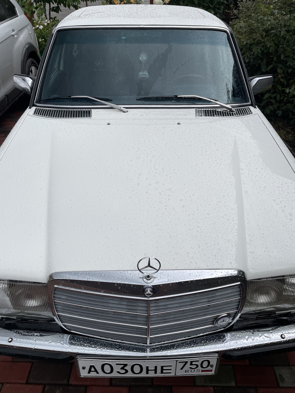 Как вызвать дождь?намыть машину😊 — Mercedes-Benz W123, 2,3 л, 1984 года |  другое | DRIVE2