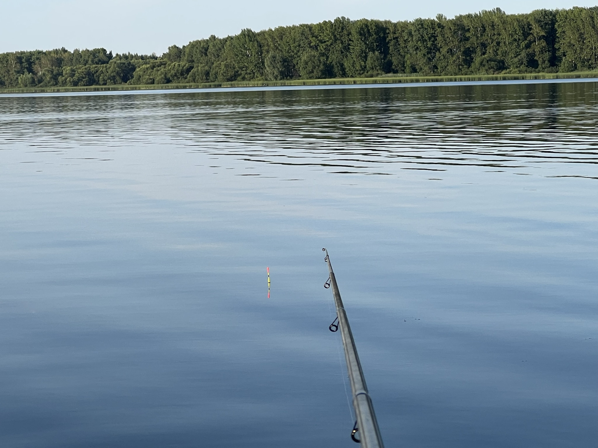 Рыбацкий пруд. Рыбацкое водохранилище. Шушпанское водохранилище.