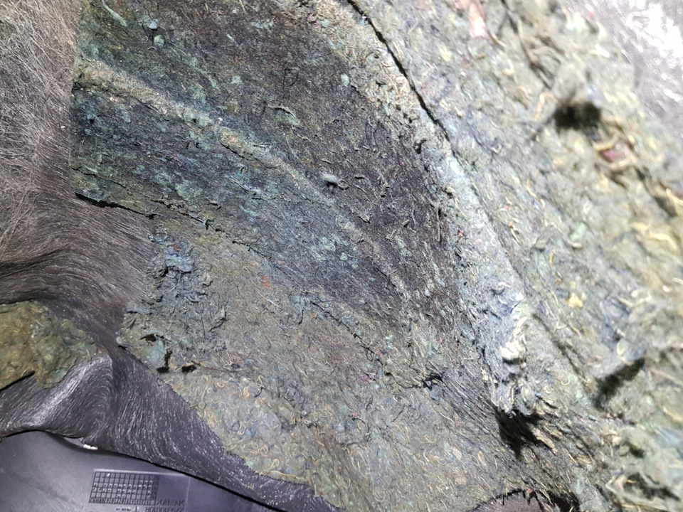 9GNa1Y pmV7H1fgn1MiyhWSr9vU 960 Мокрый ковер как быть мужиком