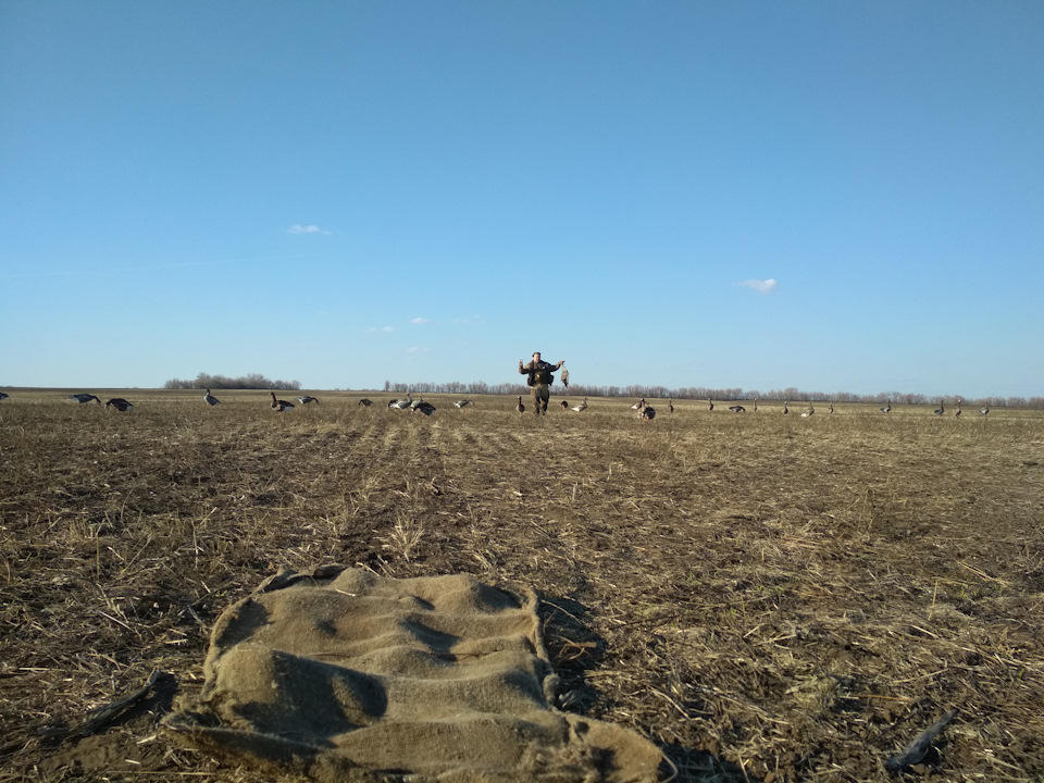 Фото в бортжурнале Mitsubishi L200 (4G)