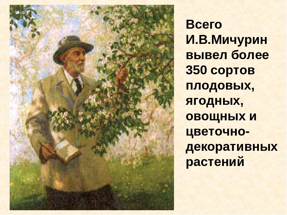 Мичурин биография фото