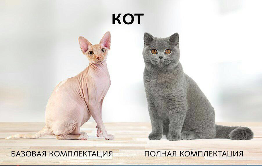 Кот полная. Кот Базовая комплектация. Кот Базовая комплектация полная комплектация. Кошка полная и Базовая комплектация. Кошка Базовая.