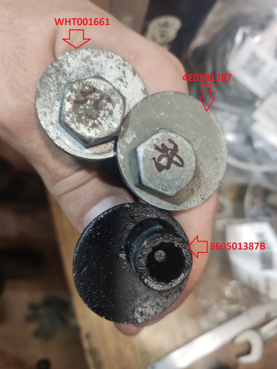 Сравнение, как мы видим, шляпка отличается по диаметру — Volkswagen Passat B5. Запчасти на фото: WHT001661, 4E0501387, 8E0501387B